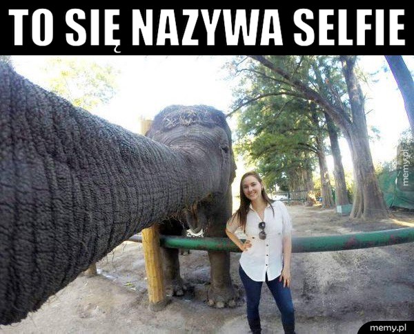 Selfie