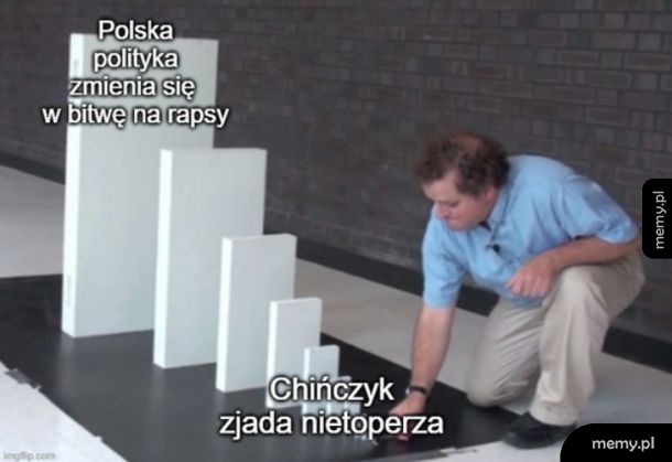 Polityka