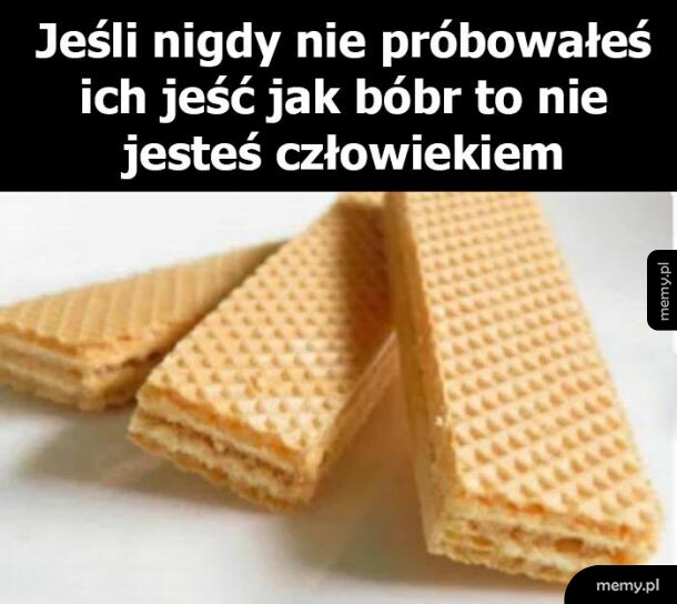 Jedzenie wafelków