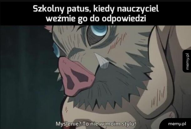 Patusy tacy som
