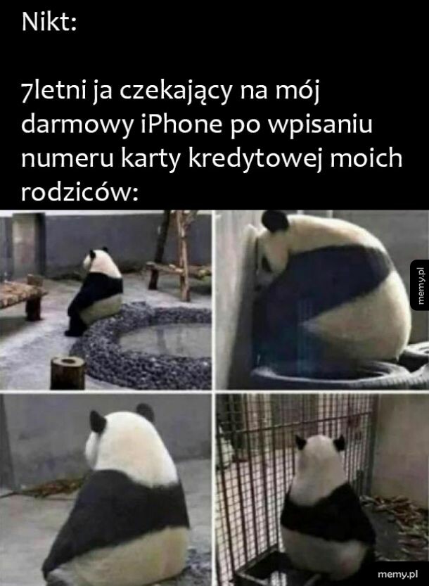 Wygrałem?