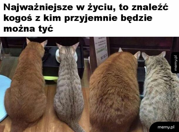 Przyjemne tycie