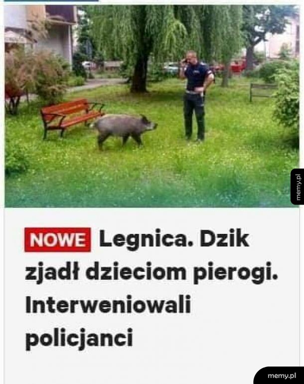 Z ostatniej chwili