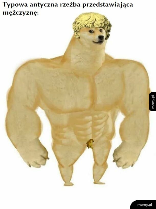 Pipi