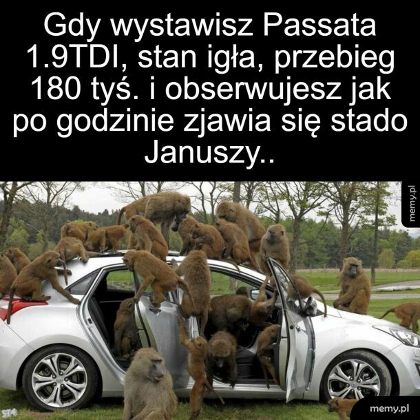 Ile pan sobie krzyczysz za tą gablotę?