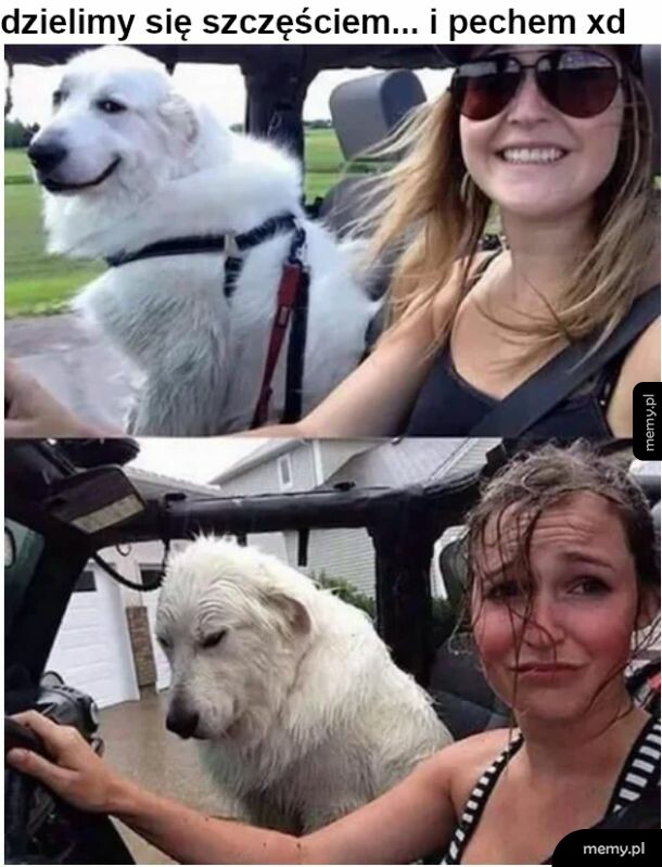Jedziemy w to razem