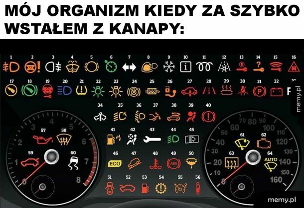 Organizm