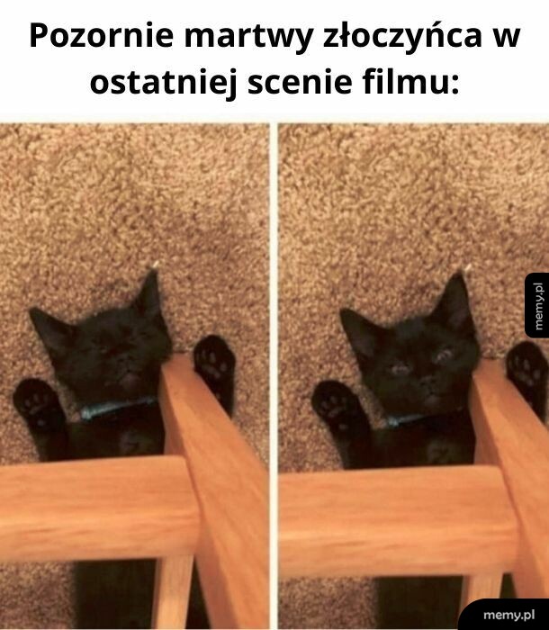 Nigdy nie umierają!
