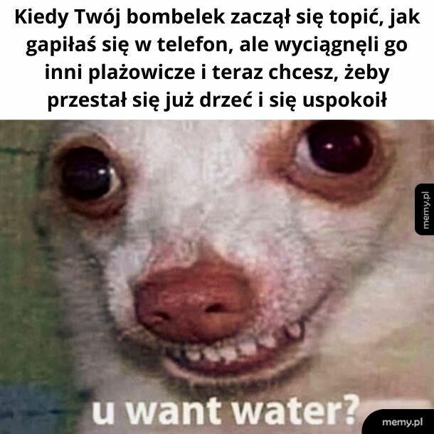 Bombelek