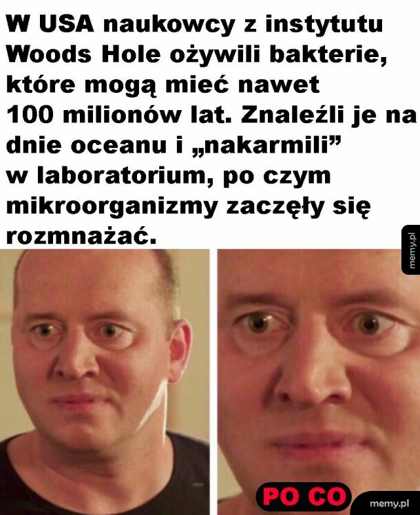 Po co?