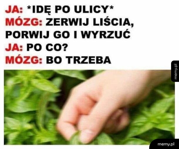 Moment brata