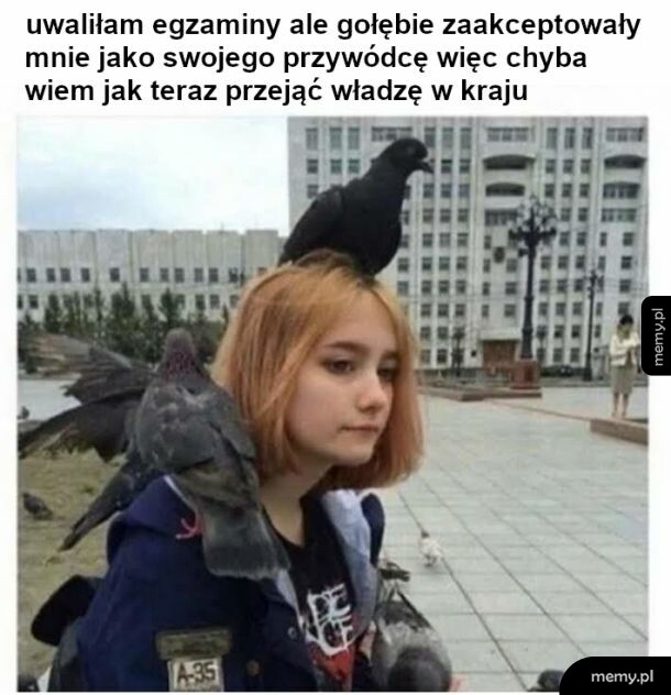 Królowa gołębi