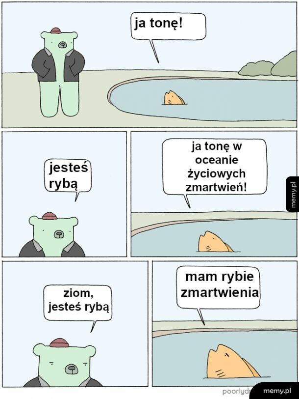 Ryba i miś