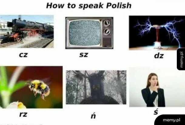 Nauka polskiego