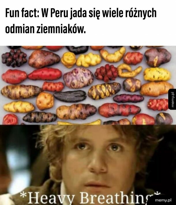 ZIE-MNIA-KI, nawet ty byś nie odmówil Gollumie.
