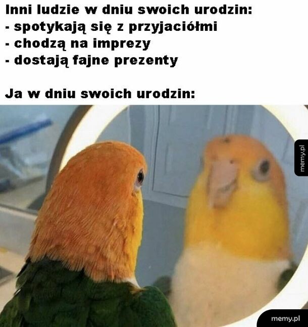 Urodziny