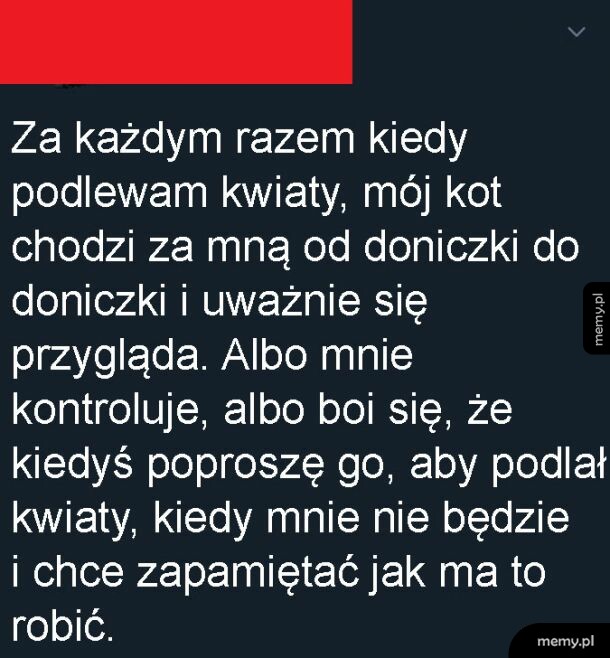Na pewno to drugie