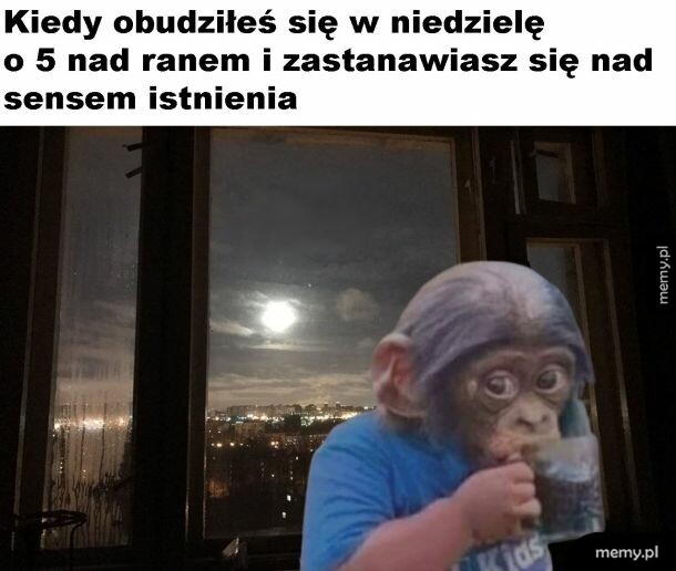 Sens istnienia