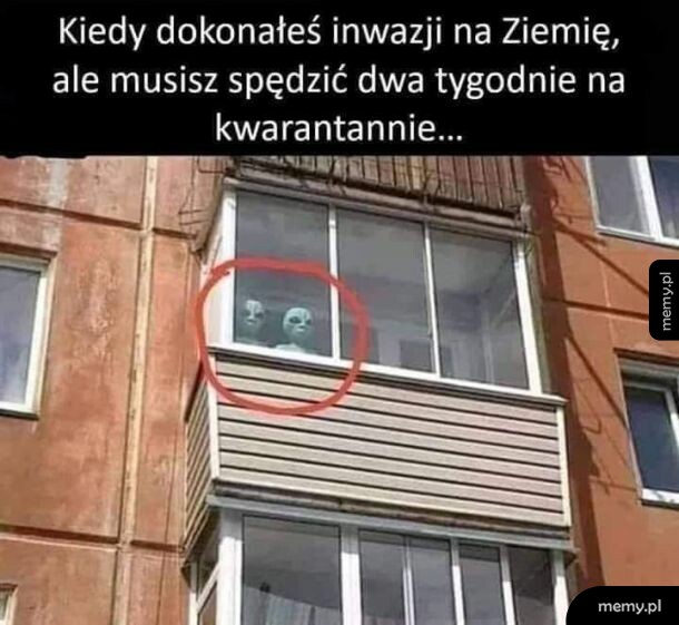 Co poradzić
