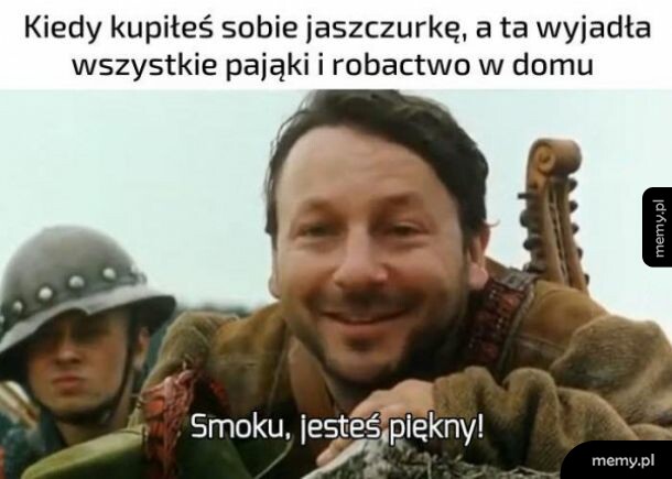 Jaszczurka