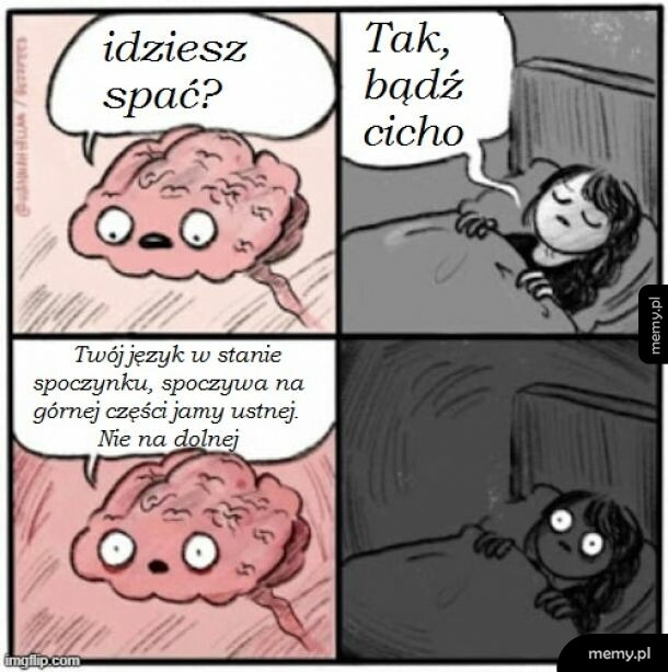Język