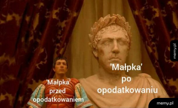 Opodatkowanie mapłki