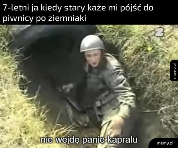 Ziemniaki w piwnicy