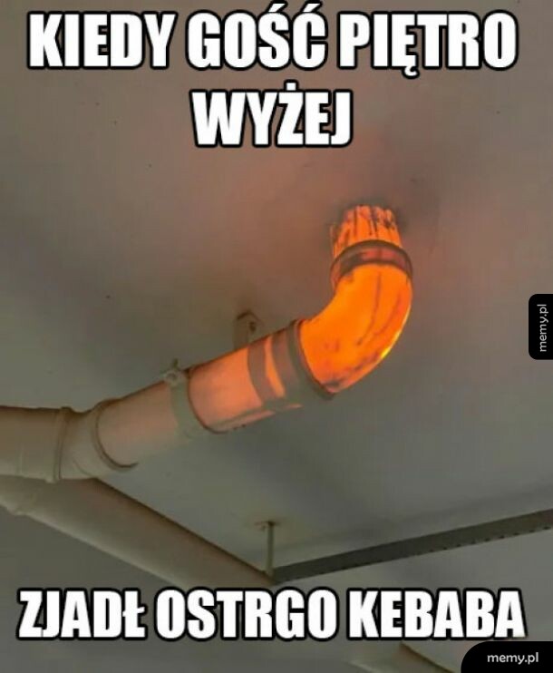 Dobry kebs