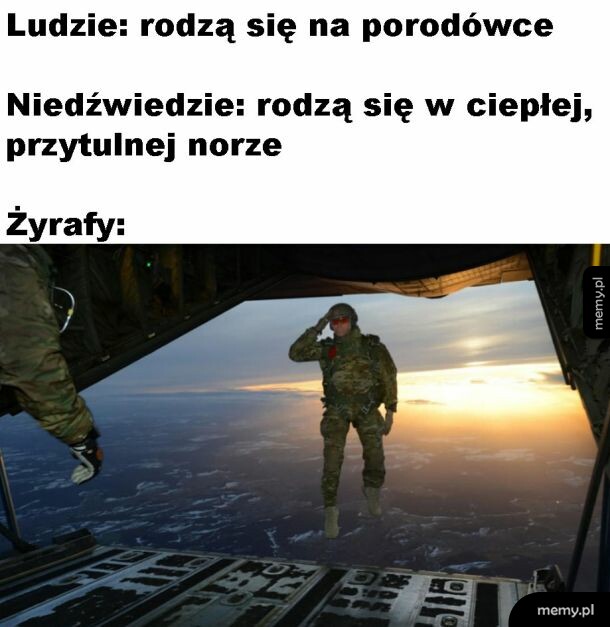 Poród żyrafy