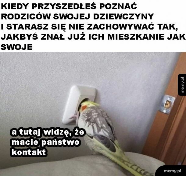 Elegancki kontakt
