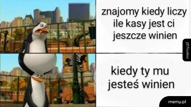 Pomagam kaczce wydostać się