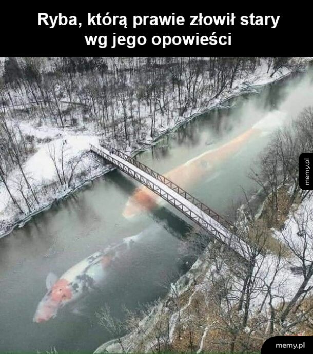 Opowieści starego