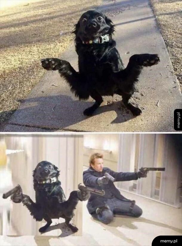 Uwaga strzelam