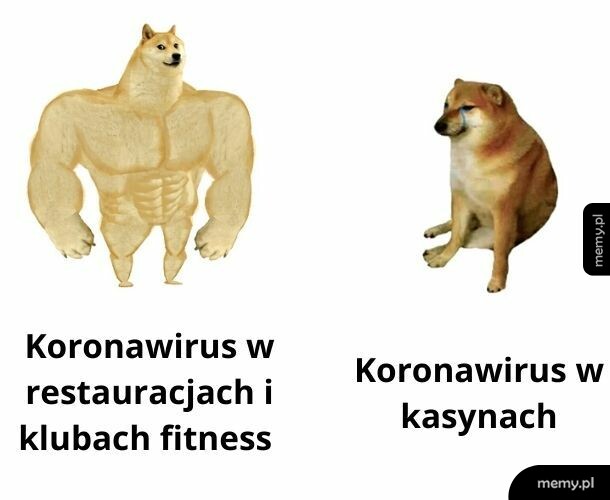 Wg rządu tak to działa