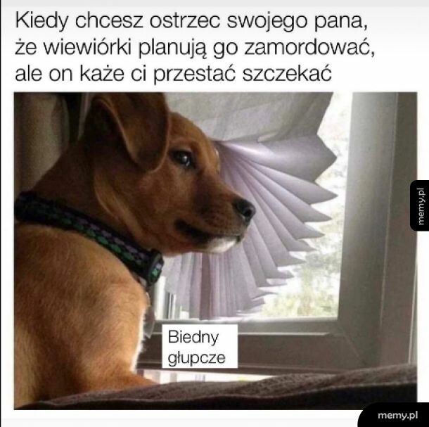 Pieseł