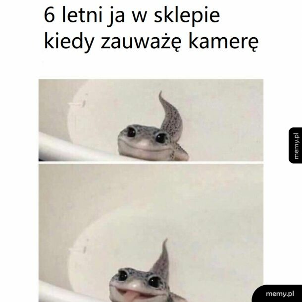 Kamera