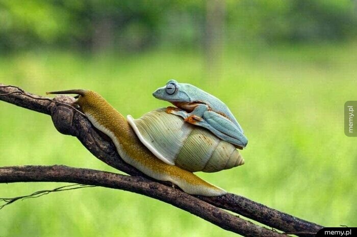 Free taxi