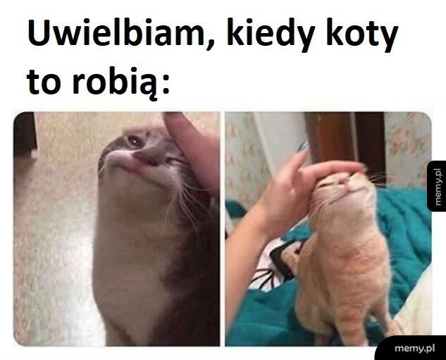 Najlepiej