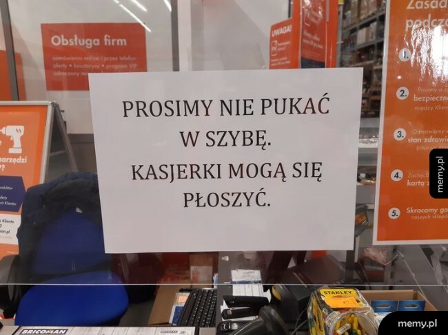 Nie pukać w szybę