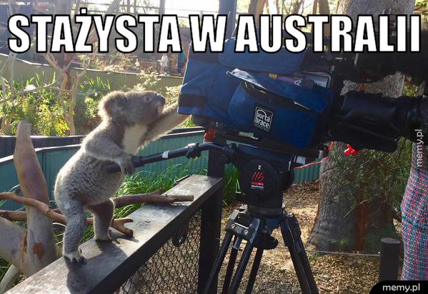 Stażysta w Australii.