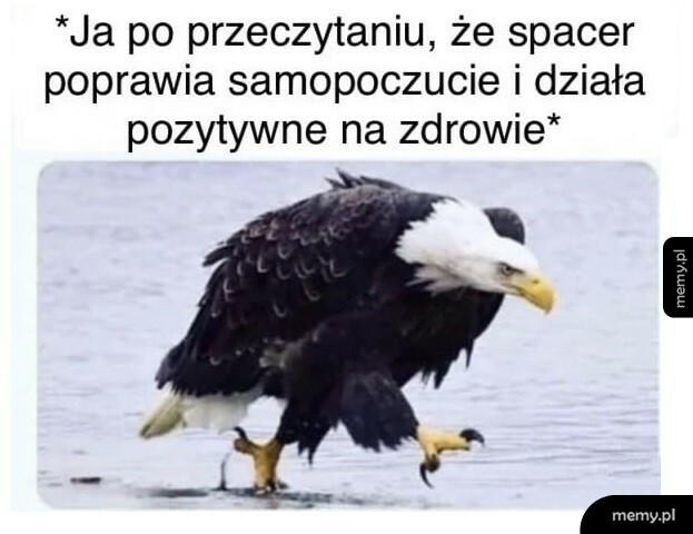 No to idę