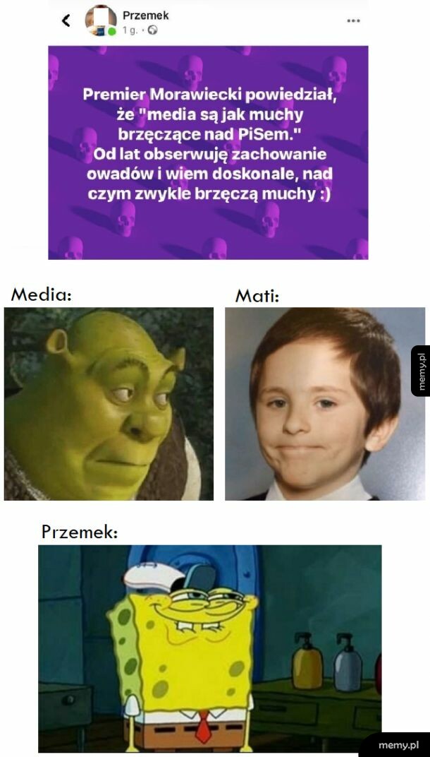 Media, PiS i owady