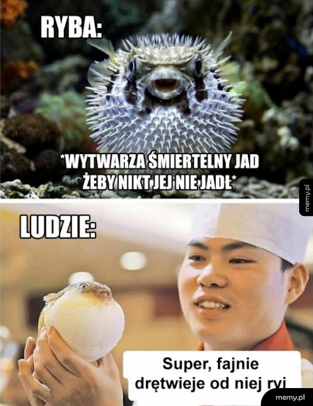 Jedzenie ryb