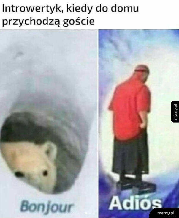 Introwertyk