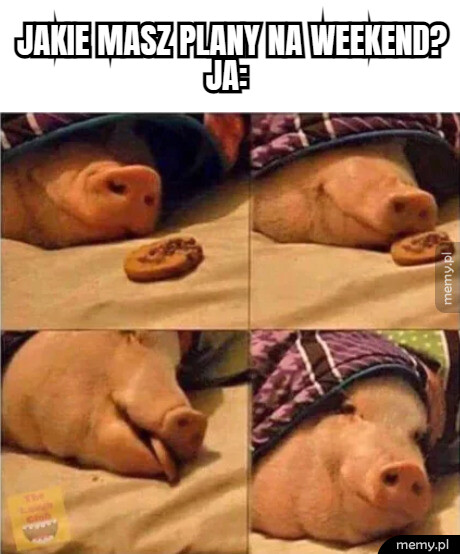 Weekend za pasem