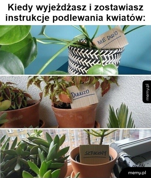 Instrukcje do podlewania kwiatów