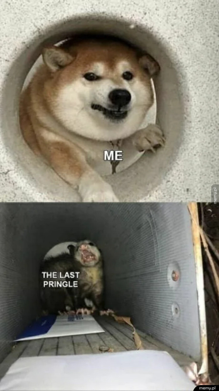 Ostatni Pringles