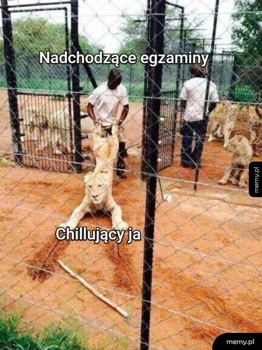 Nadchodzące egzaminy