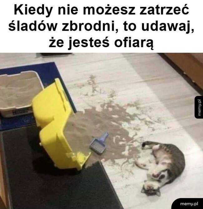 Ślady zbrodni
