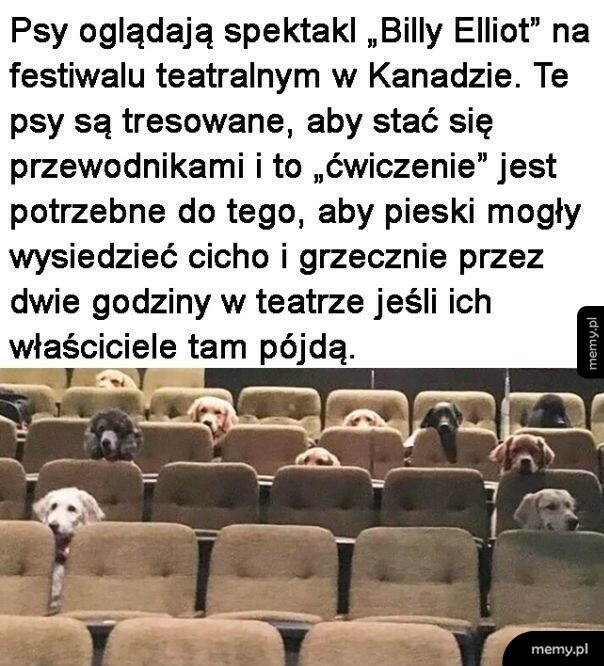 Szkolenie
